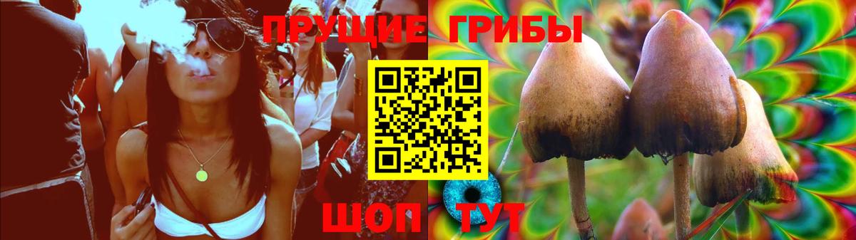Луховицы  Псилоцибиновые грибы ЛСД  Вход с VPN 